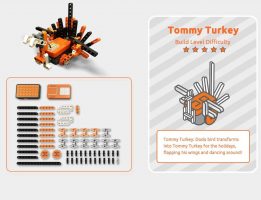 Build Tommy Turkey!